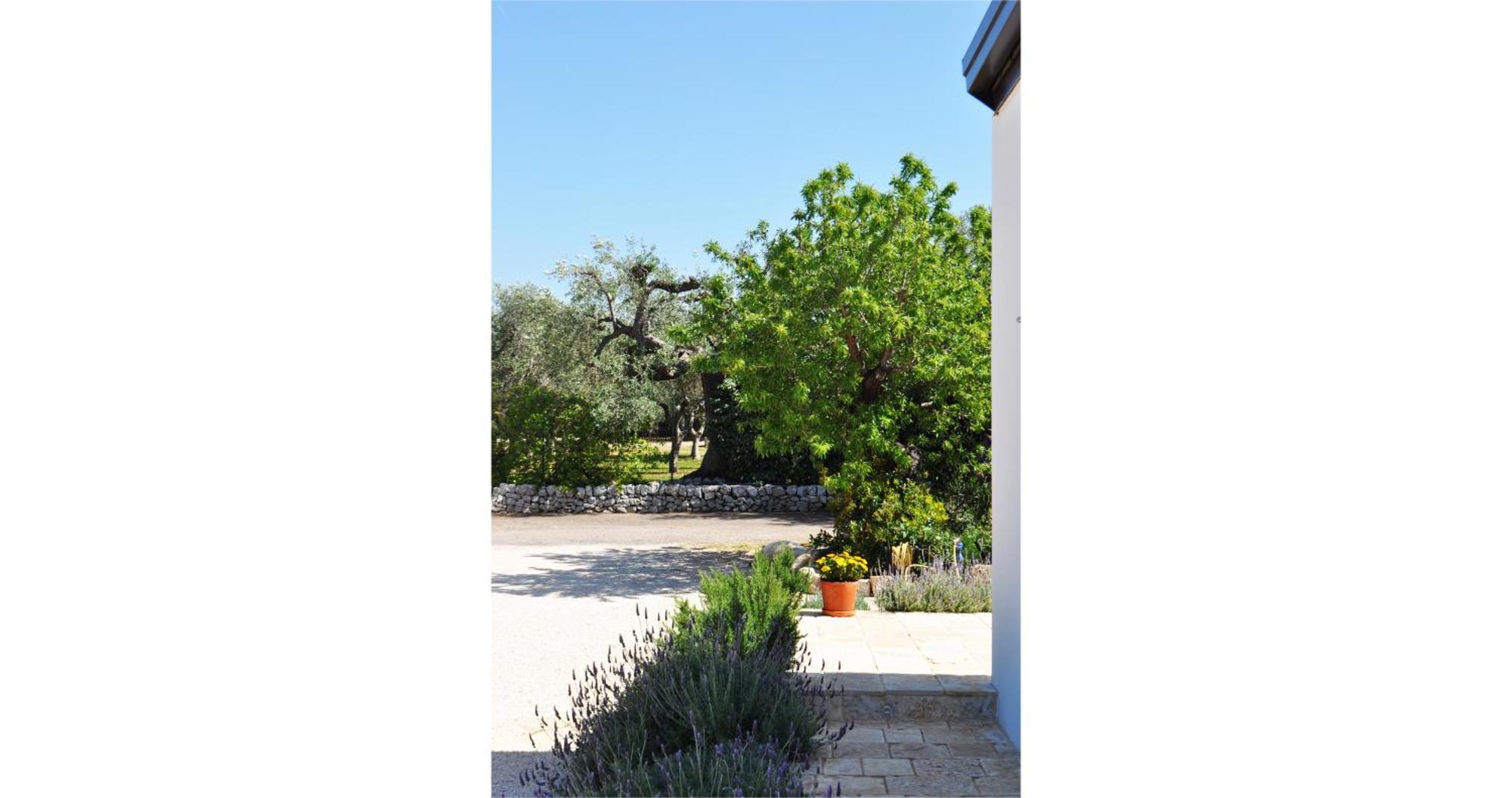 모노폴리 Casale Petrarolo B&B 외부 사진