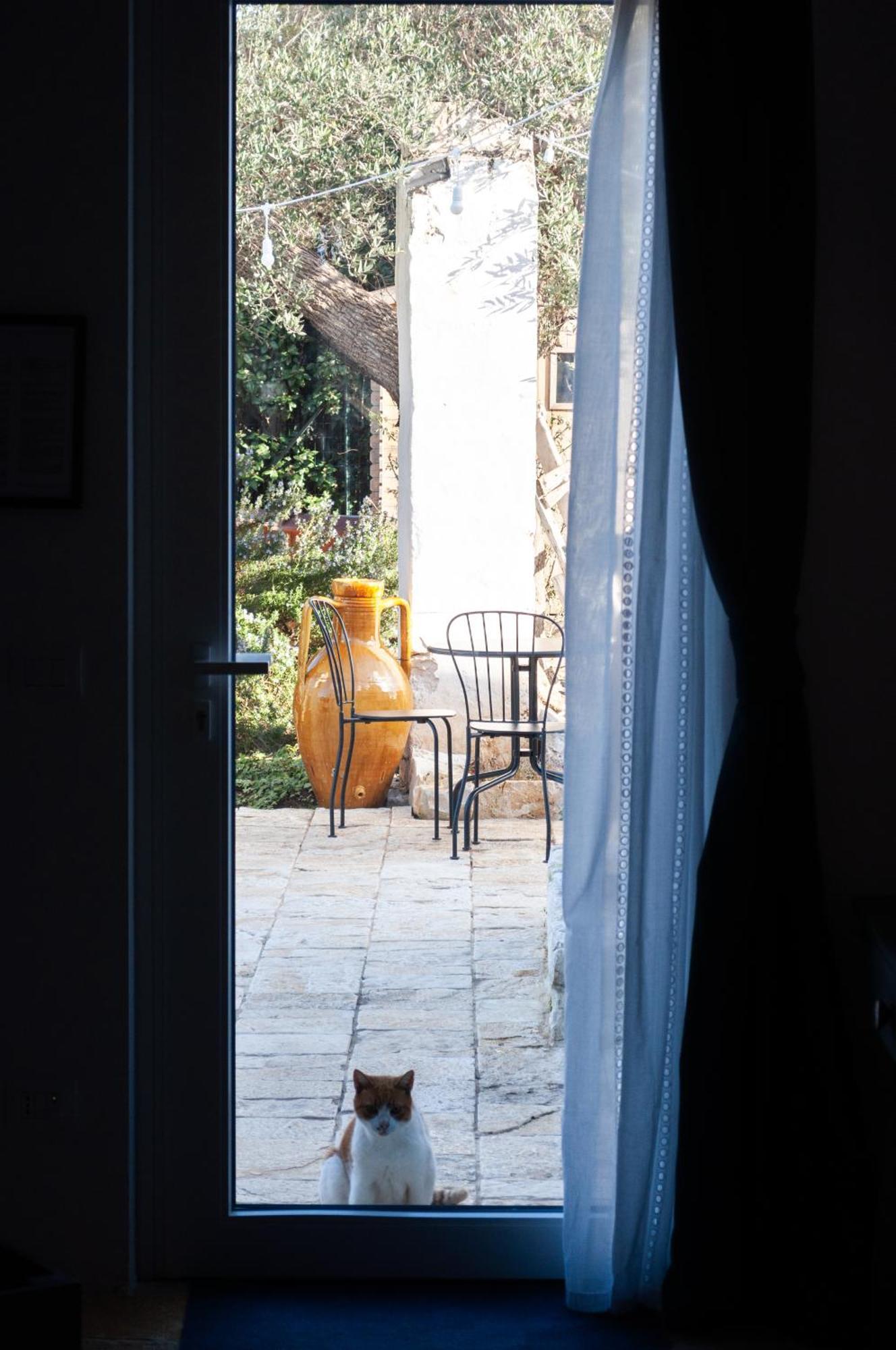 모노폴리 Casale Petrarolo B&B 외부 사진